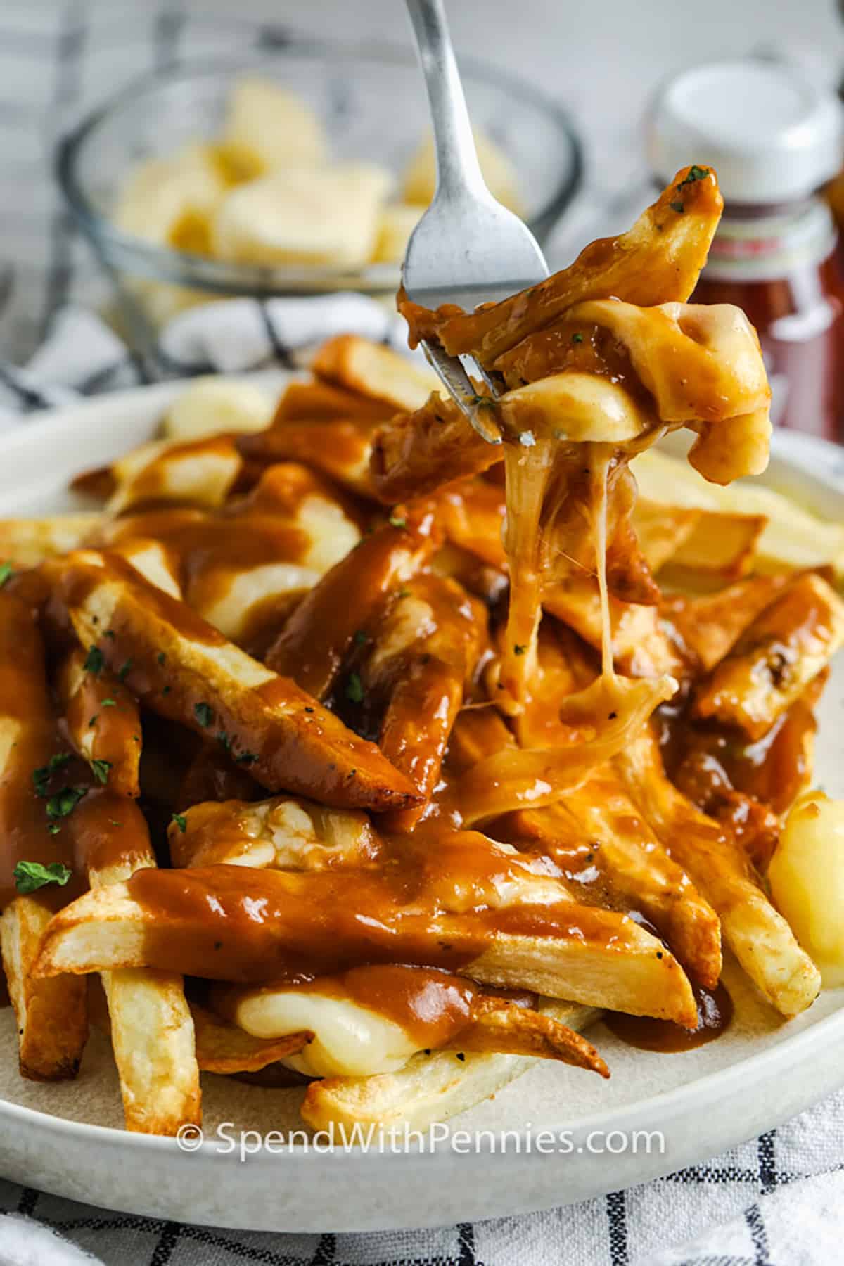 Poutine de casă