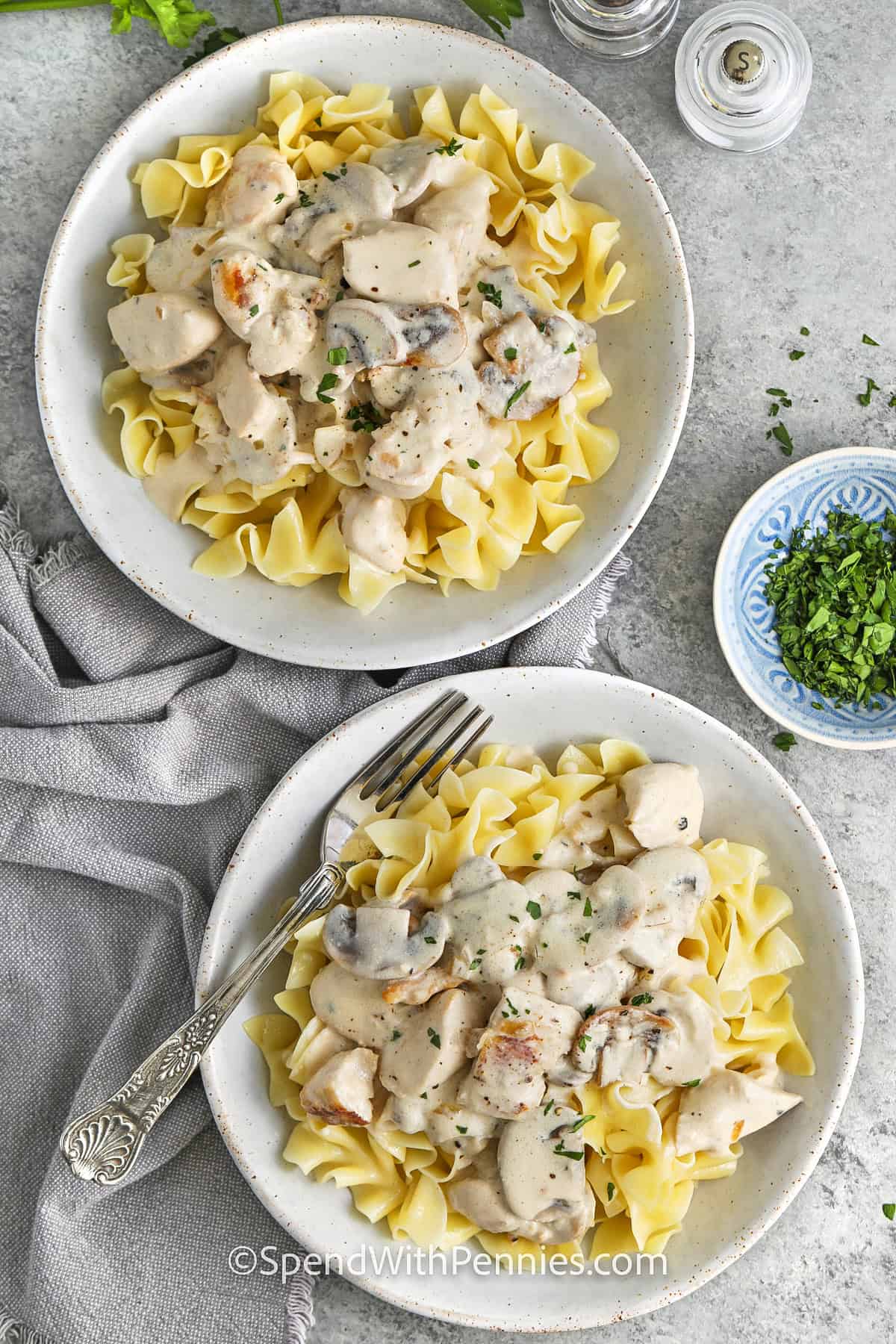 Pui Stroganoff